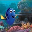 "Finding Dory"