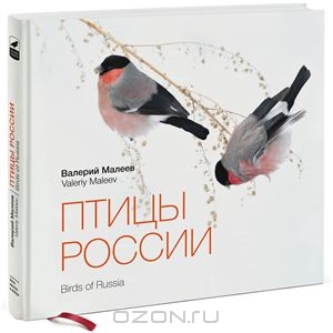 Книга Птицы России