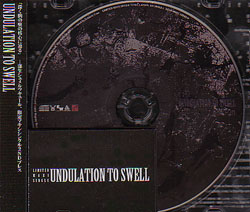 Schmelz Cure/UNDULATION TO SWELL(2nd)