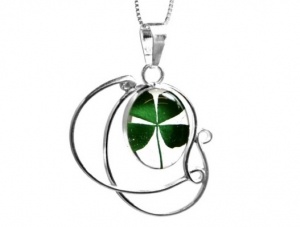 Real Four leaf clover