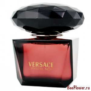 VERSACE CRYSTAL NOIR