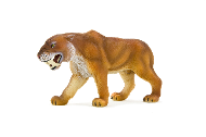 Саблезубая кошка