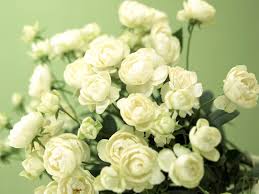 Белые  цветы