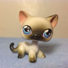 Littlest Pet Shop Siamese Cat