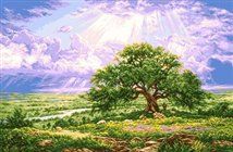 Под солнечными лучами