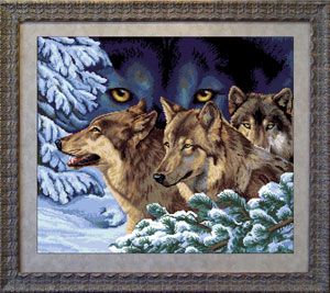 Волчий взгляд.Дикие животные