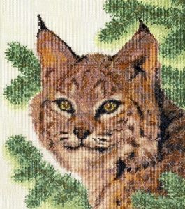 Рысь на охоте