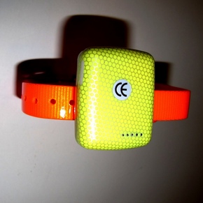 GPRS ошейник для кота