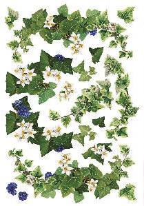 Рис. бумага Renkalik Плющ