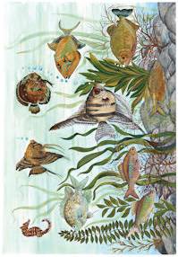 Рис. бумага Renkalik Аквариум