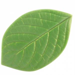 Форма пластиковая Бишофия