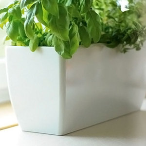 Ящик для цветов балконный Prosperplast Coubi