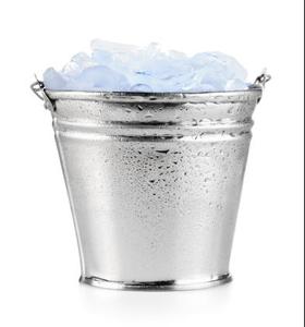 Ice Bucket Challenge