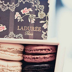 Ladur&#233;e