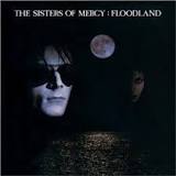 The Sisters of Mercy - Floodland