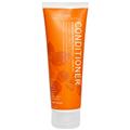 Acure Organics, Conditioner, Moroccan Argan Stem Cell   Argan Oil, 8 fl oz (235 ml) - iHerb.com