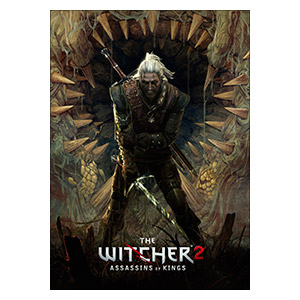 Постер The Witcher