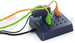 Розеткус Черный