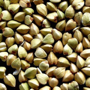 green buckwheat