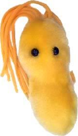 Язва (Helicobacter Pylori)