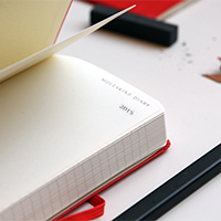 moleskine daily diary