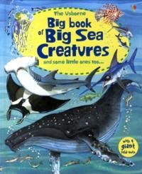 The Usborne Big Book of Big Sea Creatures and Some Little ones Too.