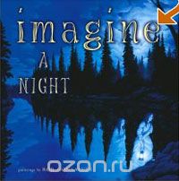 Imagine a Night