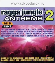 Various Artists - Ragga Jungle Anthems 2 [Vinyl] (1996)