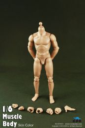 Телоид 1/6 Scale Muscle Male Body