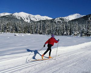 Покататься на лыжах