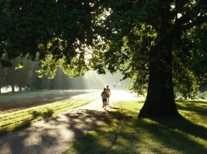 Jogging dans le parc