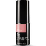 Bodyshop LIP & CHEEK STAIN