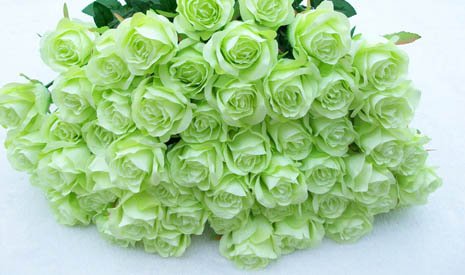 Зеленые Розы Букет Фото
