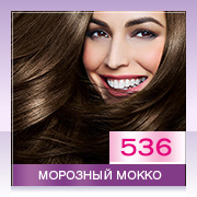 Perfect Mousse 536 Морозный мокко