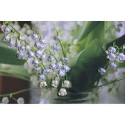 Набор для вышивания лентами Авек Плэзир "Букет ландышей"