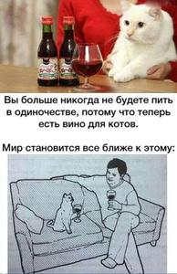 Вино для кота