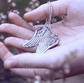 крылатые серёжки