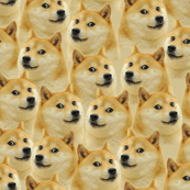 Doge stuff