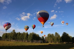 Увидеть фестиваль воздушных шаров 12-16 июля 2017