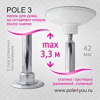 Пилон домой