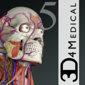 Подписка на Anatomy Essential