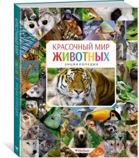 Красочный мир животных. Энциклопедия.