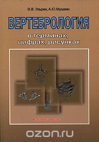 Вертебрология в терминах, цифрах, рисунках