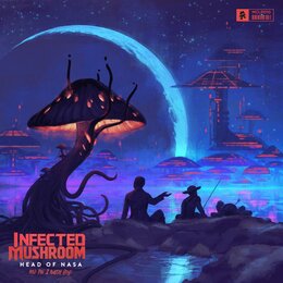 Билет на Infected Mushroom