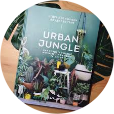 Urban Jungle