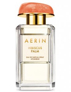 Aerin Hibiscus Palm