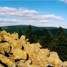 90. Природный парк Гарц - Naturpark Harz (Нижняя Саксония, Саксония-Анхальт, Тюрингия)