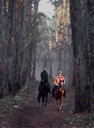 Поездка на лошадях по лесу