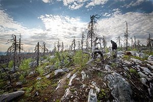 Поездка на Воттоваара