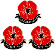 Poppy Remembrance Pin